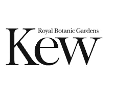 kew logo