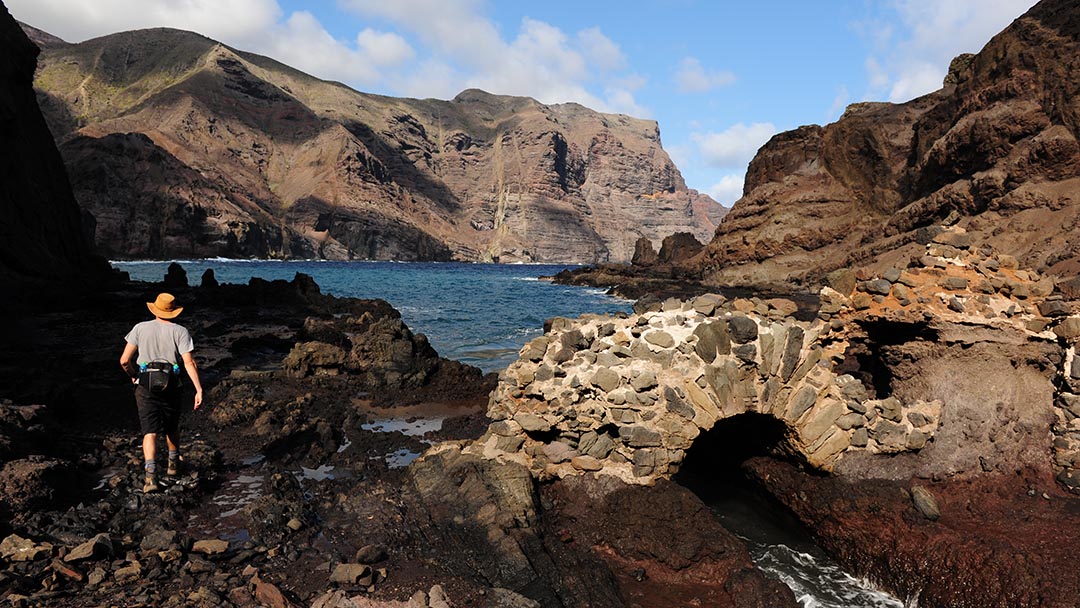 St Helena Horses Head