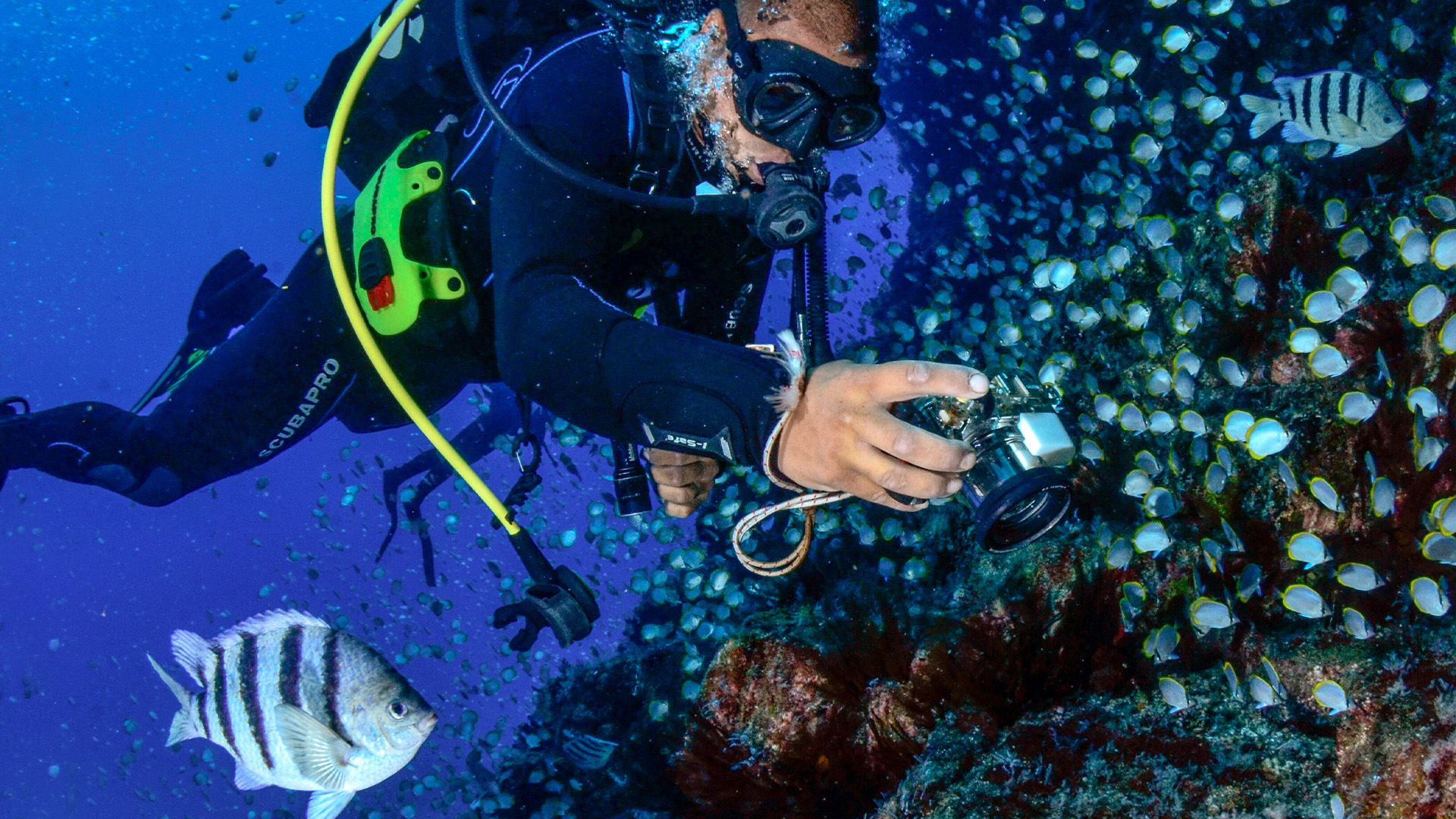 Scuba diver